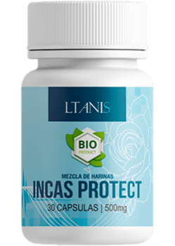 incas-protect